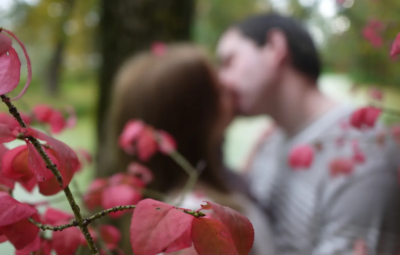 Фото обои осень, листья, макро, фон, настроение, поцелуй, ветка, пара