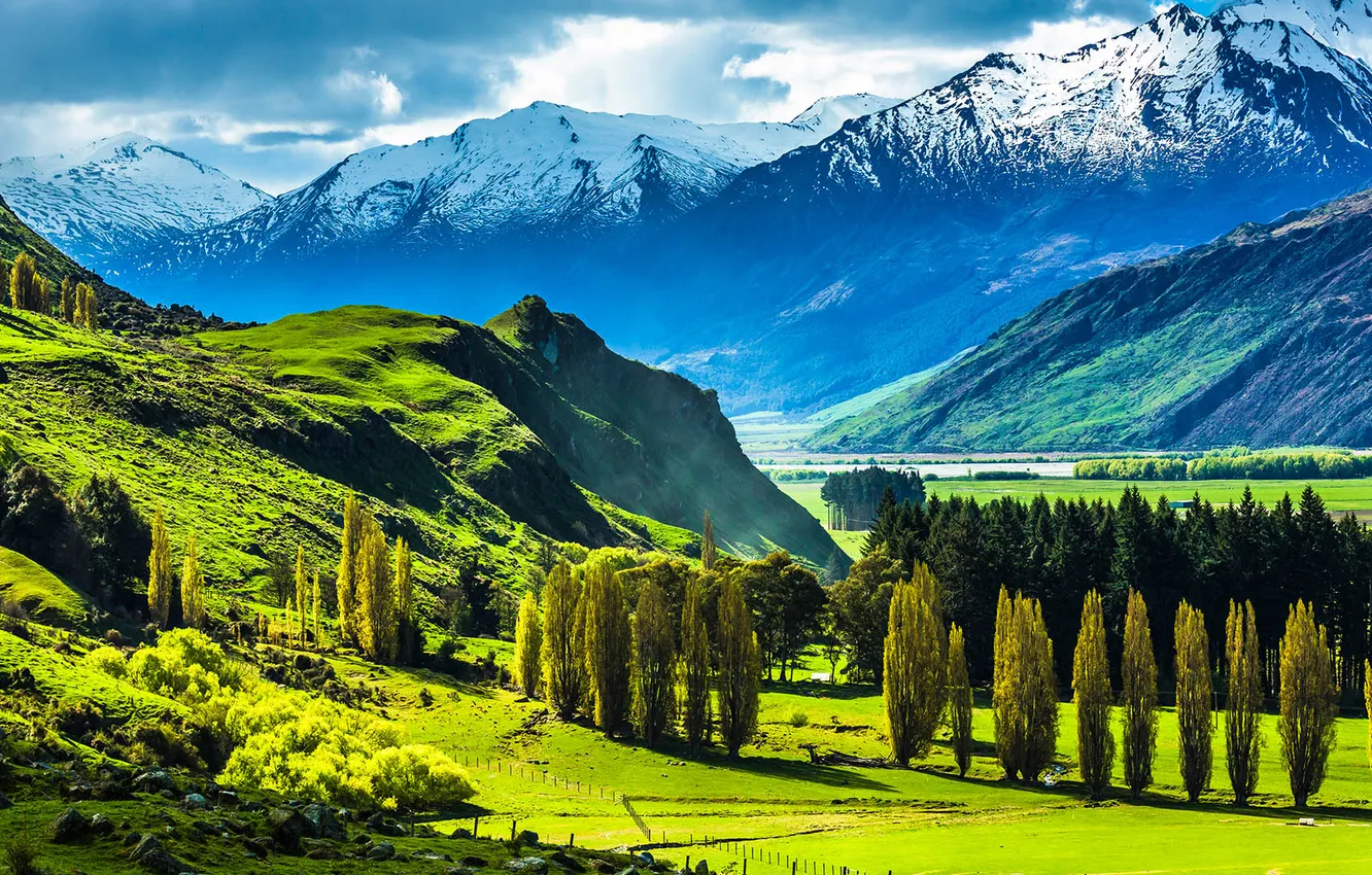 Фото обои trees, landscape, nature, mountains