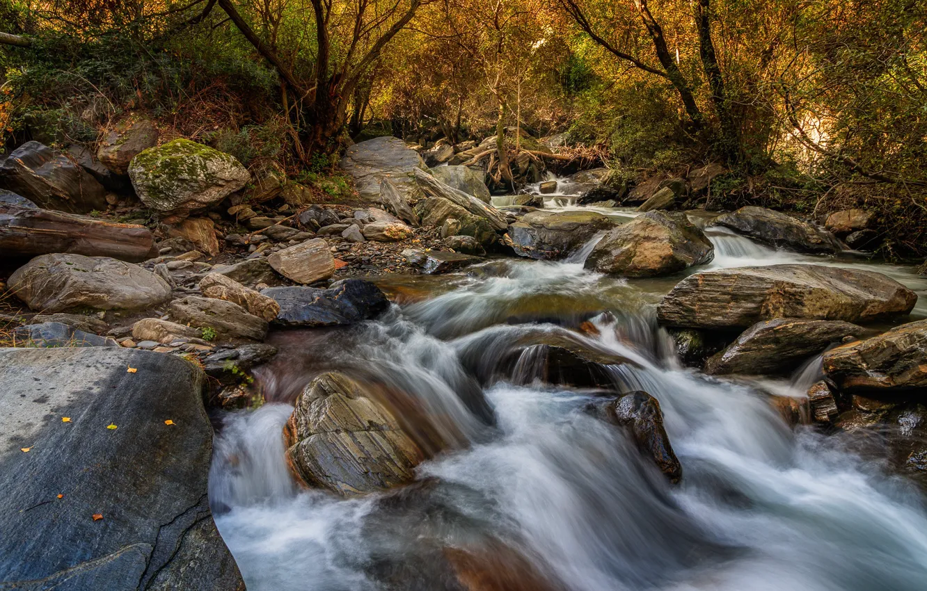 Фото обои лес, река, камни, поток