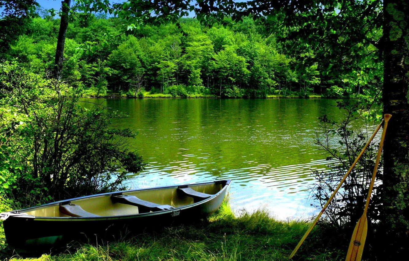 Фото обои лес, лето, река, лодка