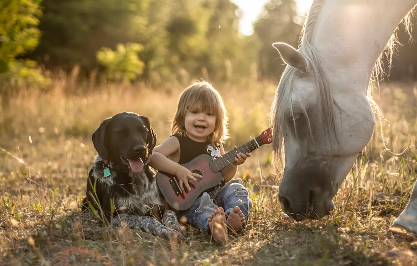Фото обои конь, лошадь, гитара, собака, мальчик, дружба, друзья