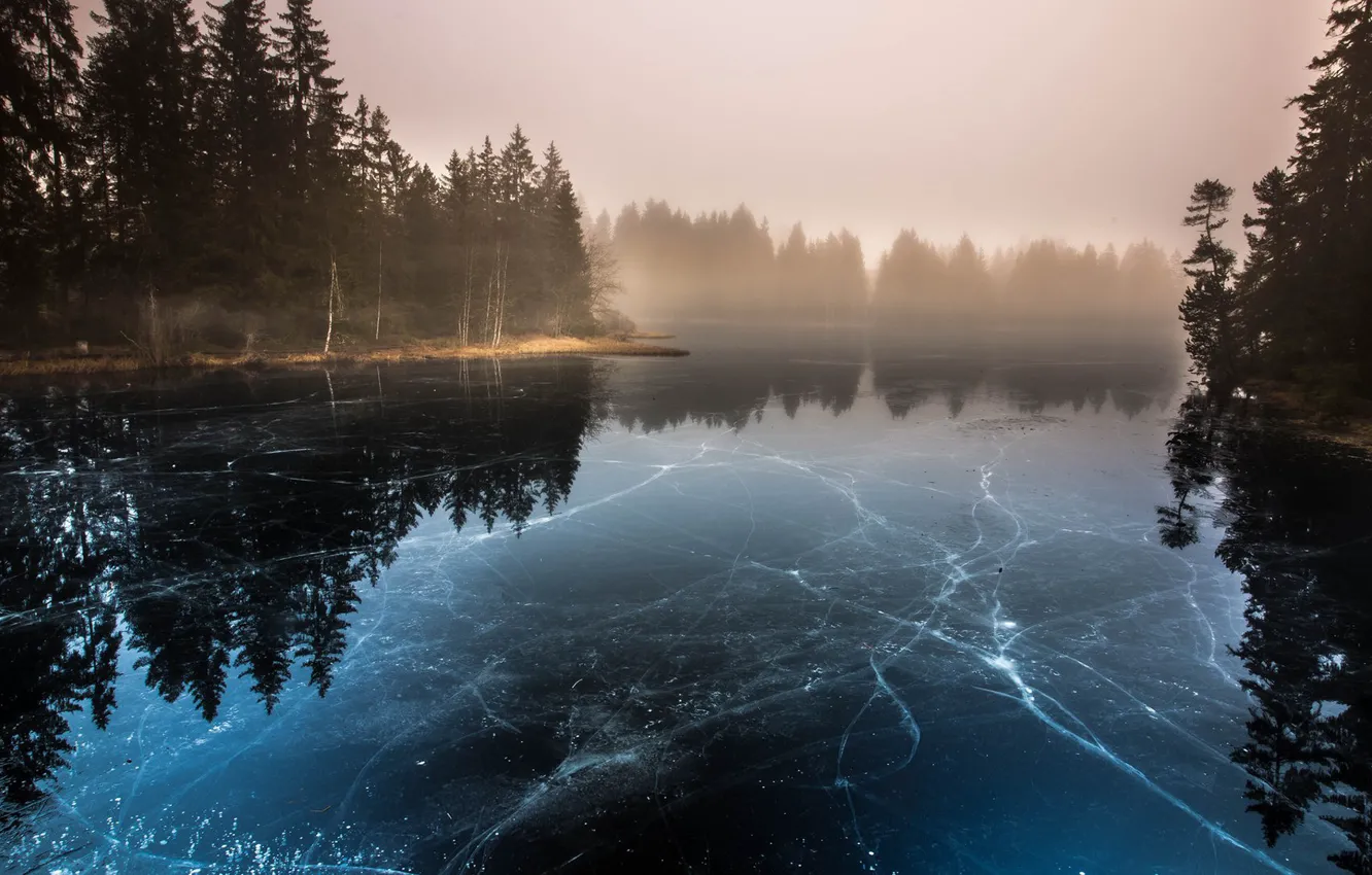 Фото обои лед, деревья, природа, озеро, утро, Байкал
