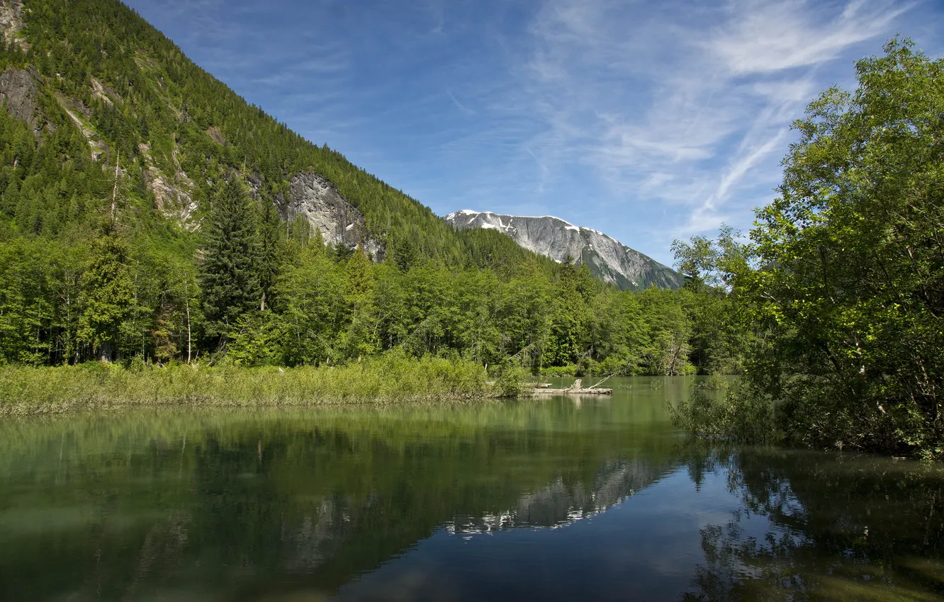Фото обои зелень, лето, деревья, горы, озеро, холмы