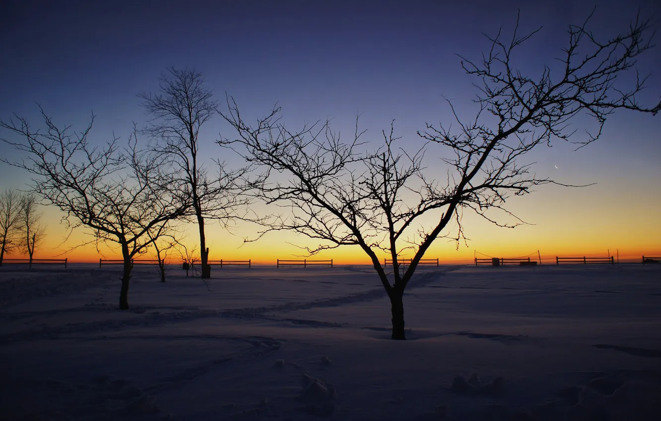 Фото обои зима, снег, деревья, природа, фото, дерево, рассвет, пейзажи