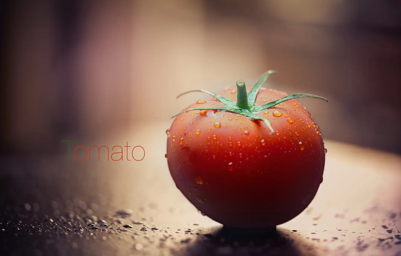 Фото обои капли, стол, томат, помидор
