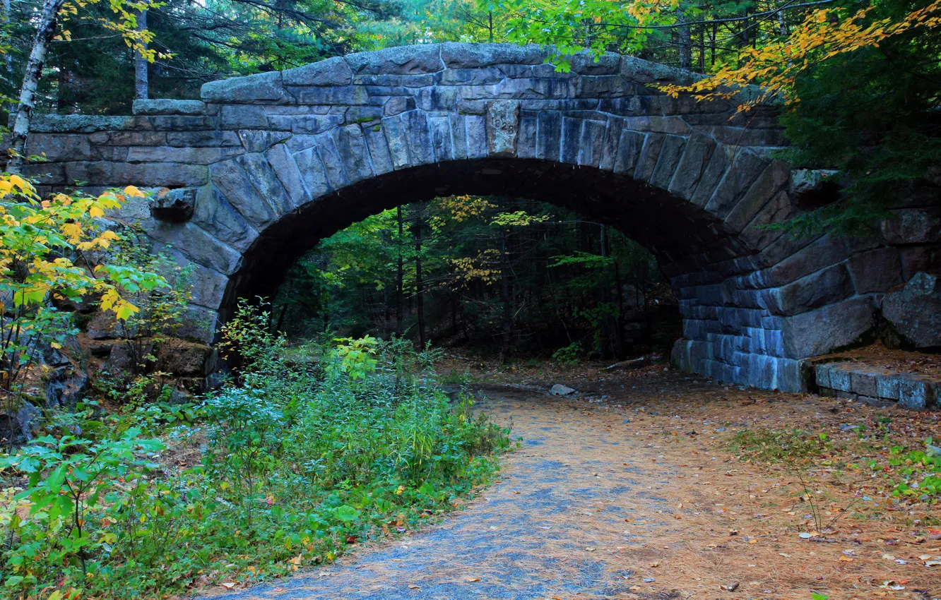 Фото обои дорога, осень, листья, пейзаж, мост, камень, опора, мостик