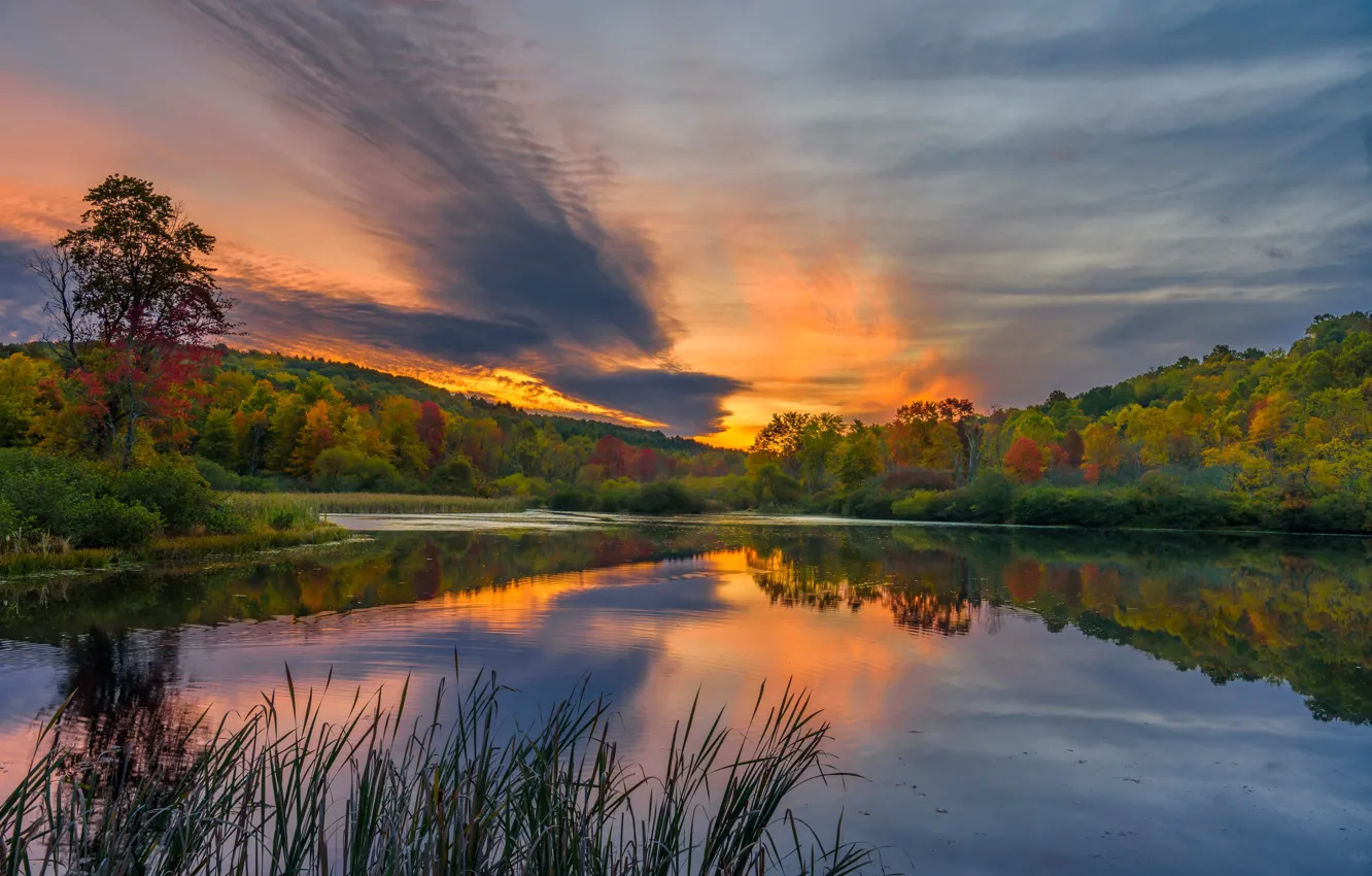 Фото обои осень, лес, озеро, восход, рассвет, утро, Пенсильвания, Pennsylvania