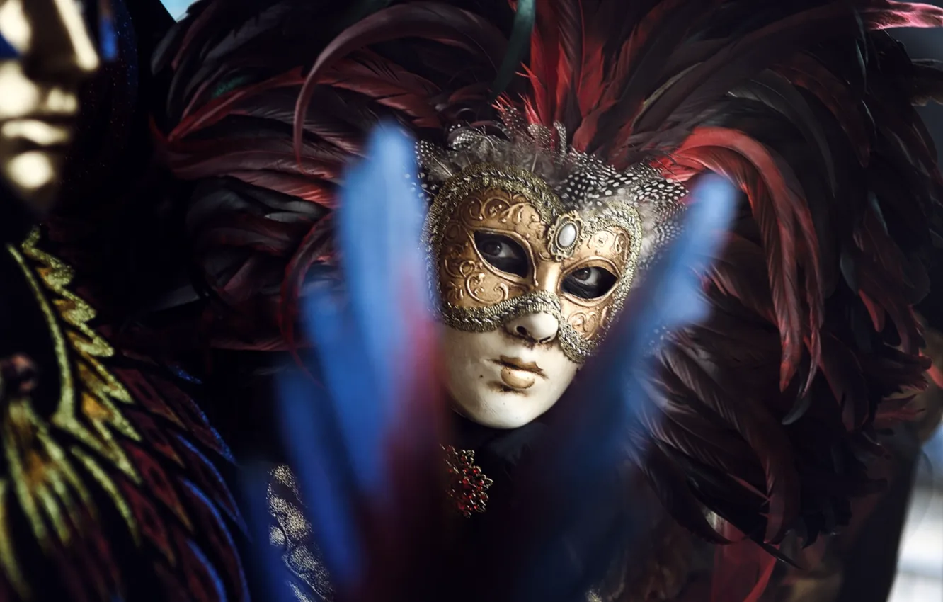 Фото обои взгляд, перья, маска, карнавал
