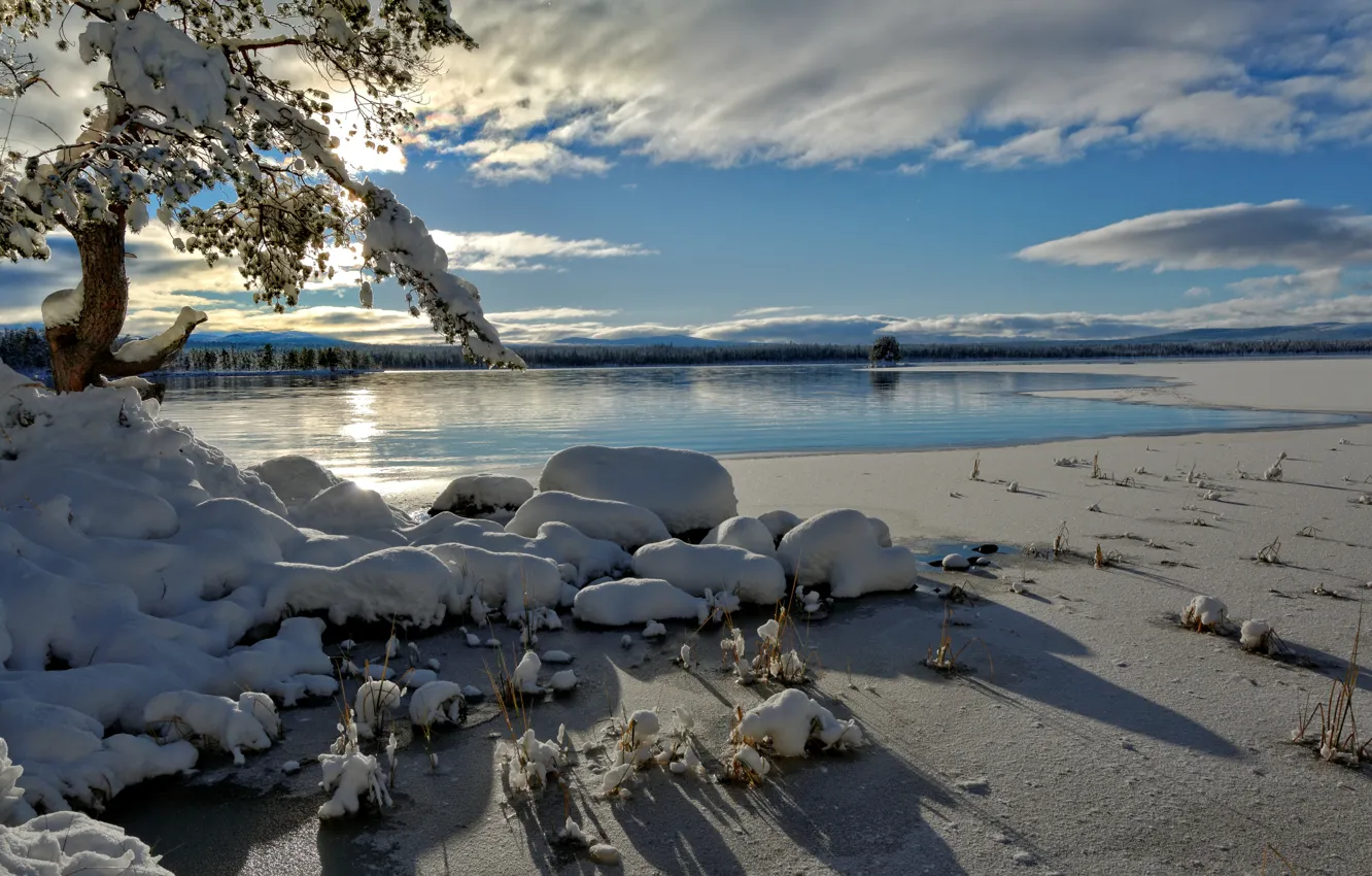 Фото обои зима, Норвегия, Hedmark Fylke, Tjernli
