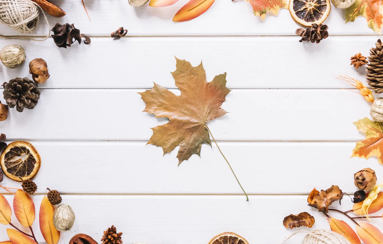 Фото обои осень, листья, фон, дерево, доски, шишки, wood, background