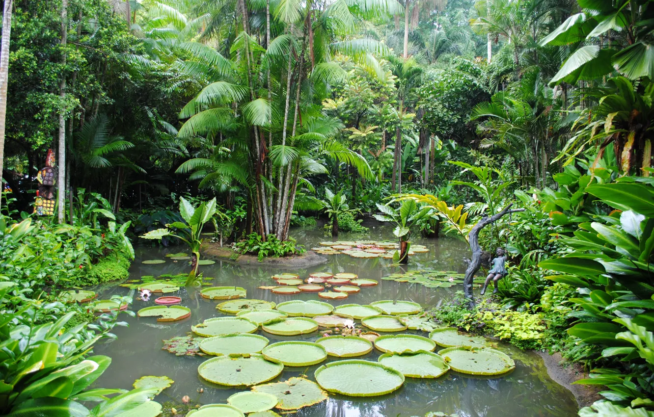 Фото обои деревья, пруд, сад, Сингапур, кусты, кувшинки, Botanic Gardens