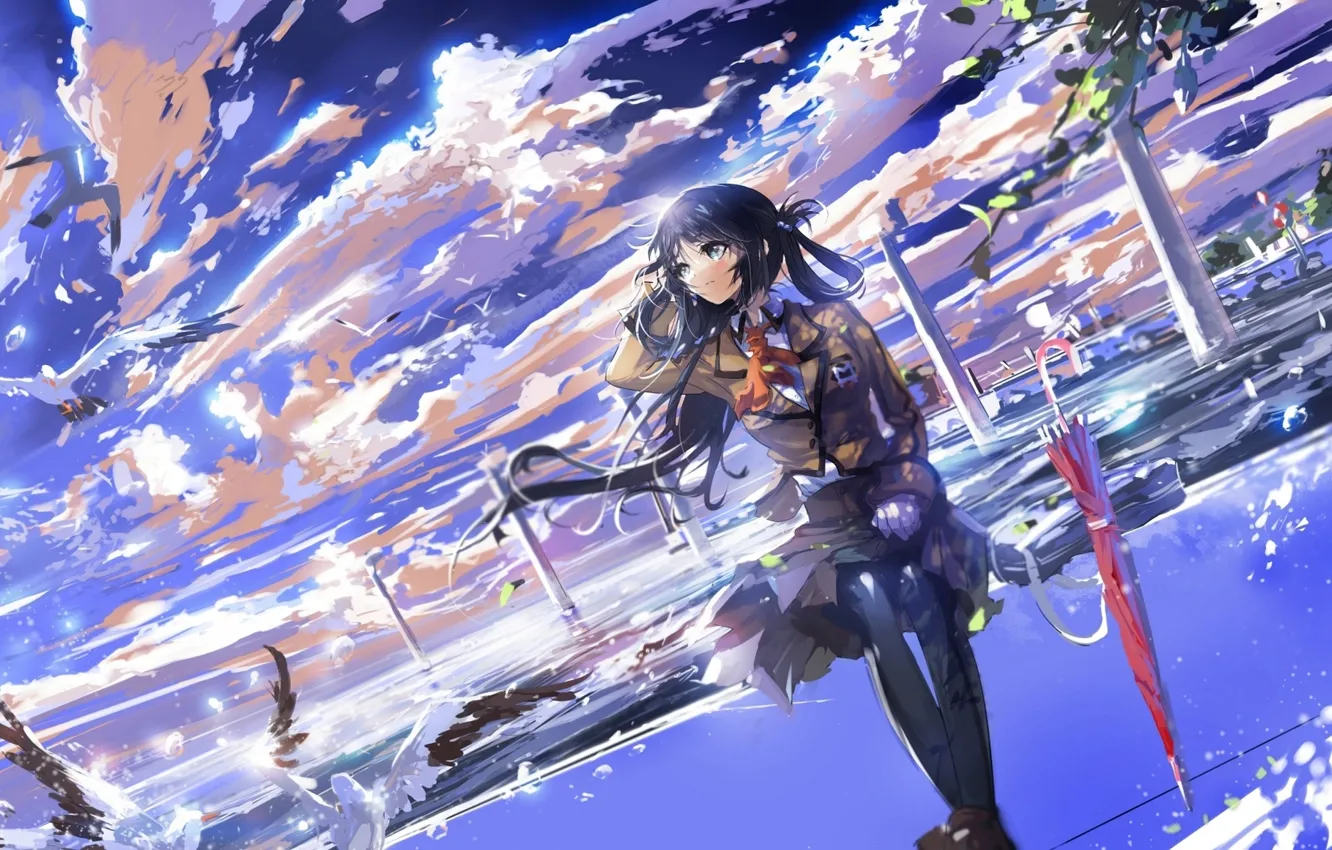 Фото обои небо, девушка, облака, птицы, зонт, аниме, арт, форма