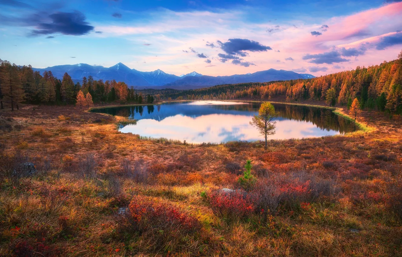 Фото обои осень, небо, озеро, краски, Россия, леса