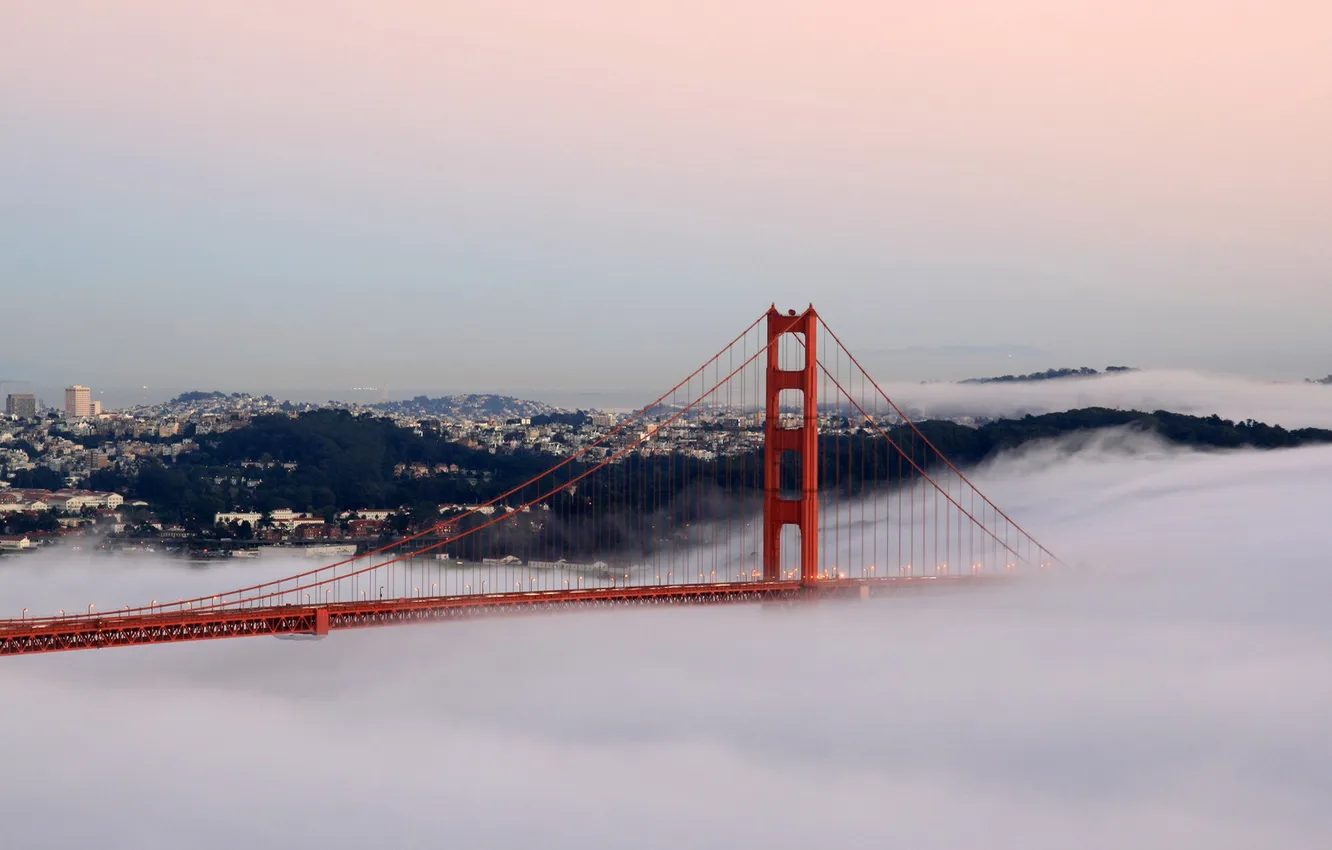 Фото обои мост, огни, туман, сан франциско, golden gate bridge