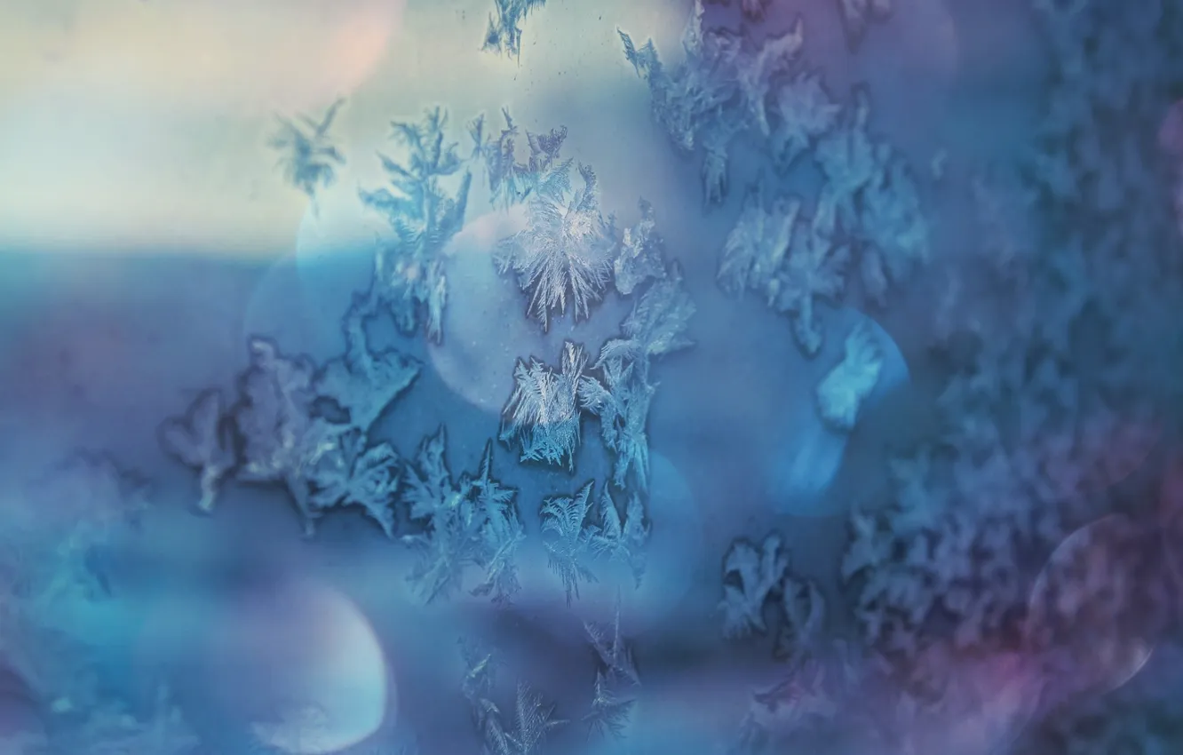 Фото обои зима, мечта, снежинки, синий, блики, настроение, голубой, вид