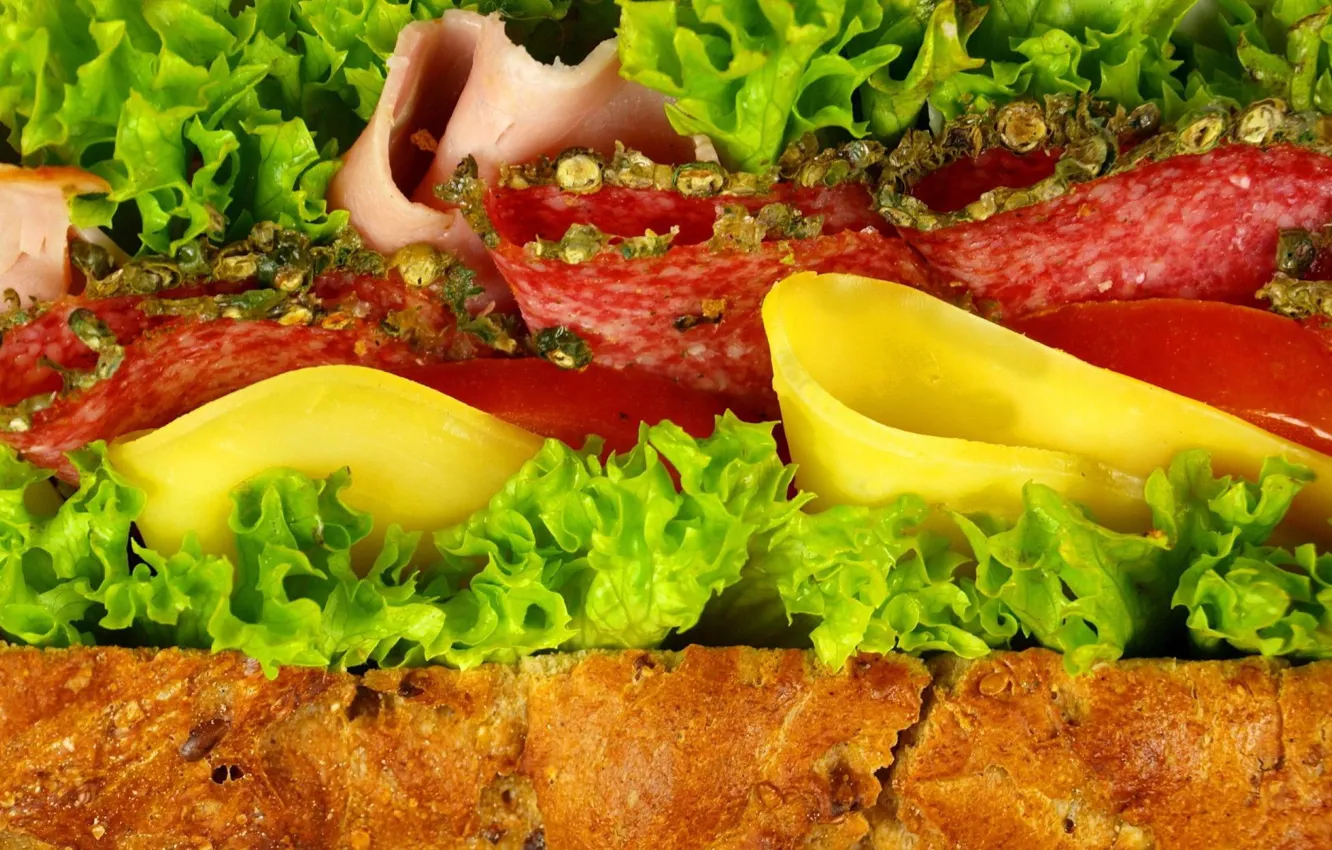 Фото обои зелень, сыр, хлеб, колбаса, салями