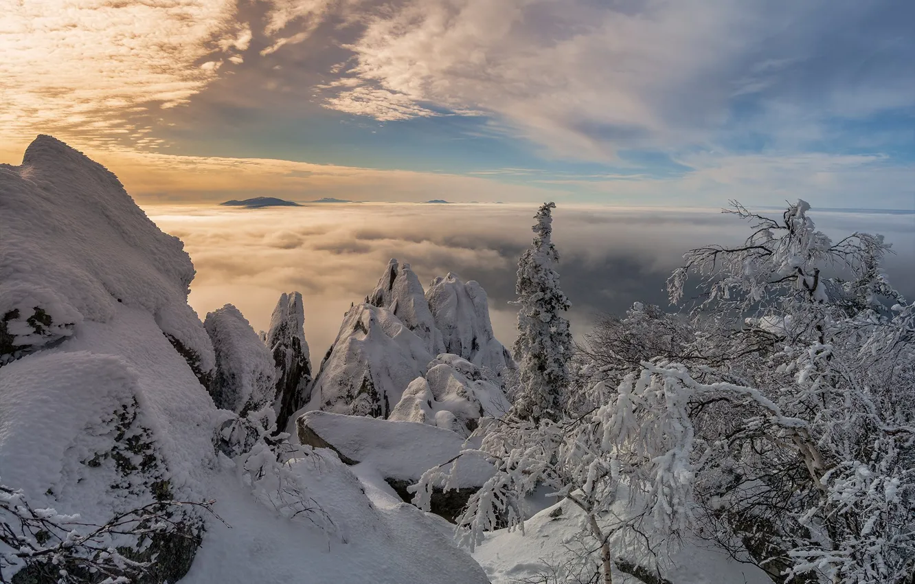 Фото обои зима, облака, снег, деревья, пейзаж, горы, природа, национальный парк