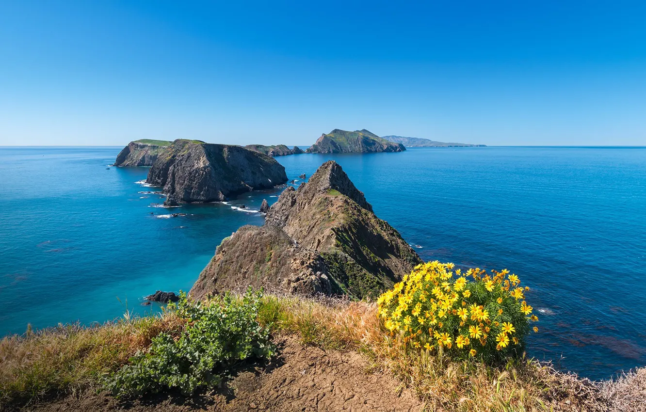 Фото обои вода, берег, растительность, водоём, Anacapa Island