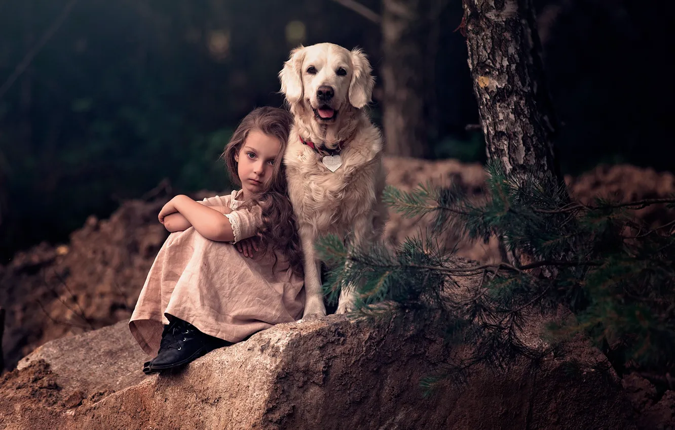 Фото обои ветки, дерево, камень, собака, девочка, друзья