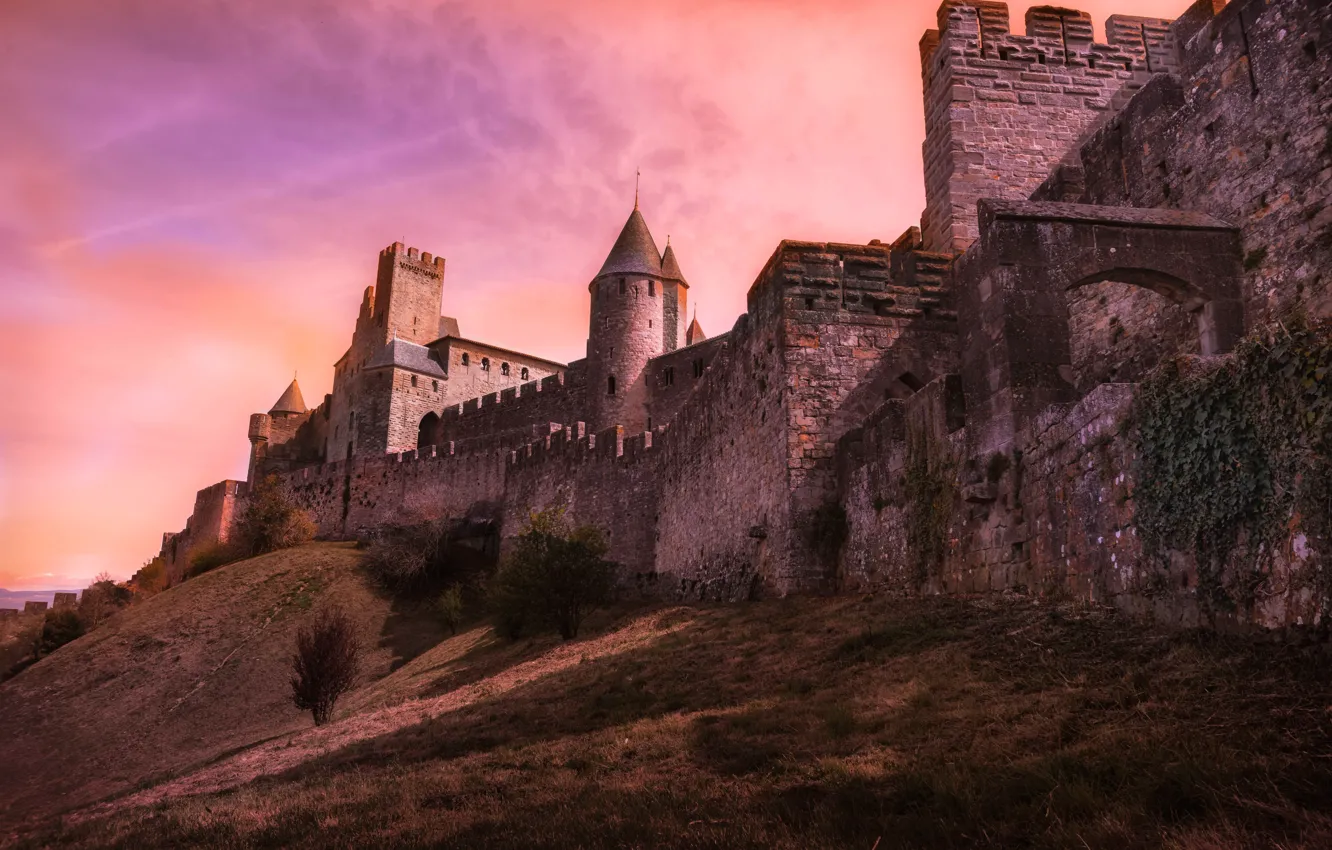 Фото обои стена, Франция, холм, башни, крепость, Carcassonne