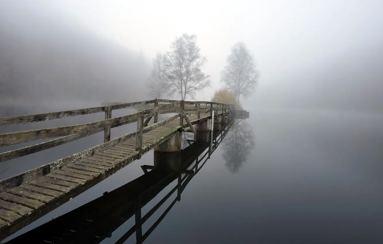 Фото обои мост, туман, озеро, мрак