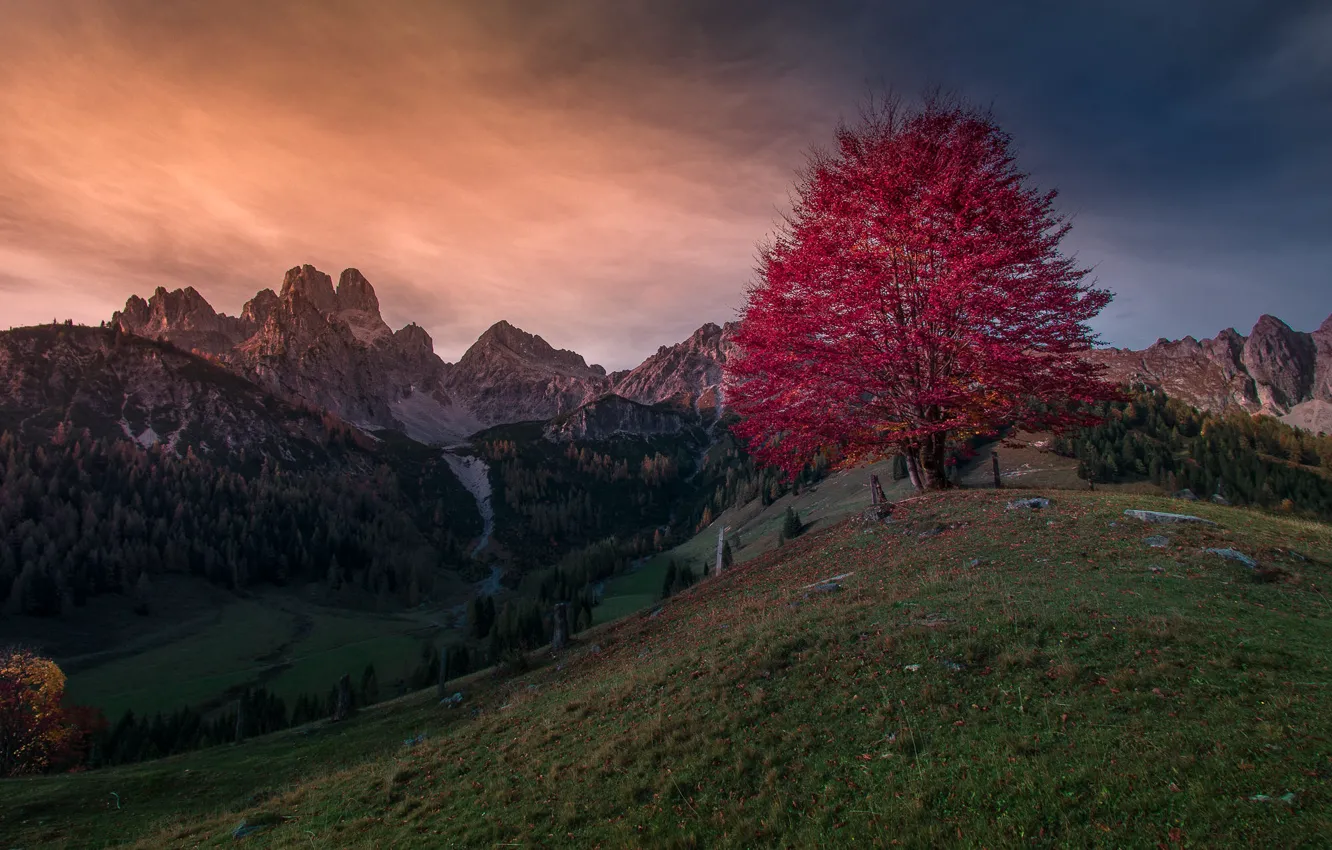 Фото обои осень, трава, пейзаж, горы, тучи, природа, дерево, склоны