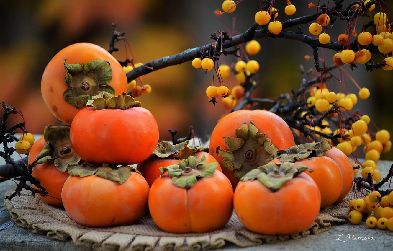 Фото обои осень, ветки, ягоды, фрукты, салфетка, хурма