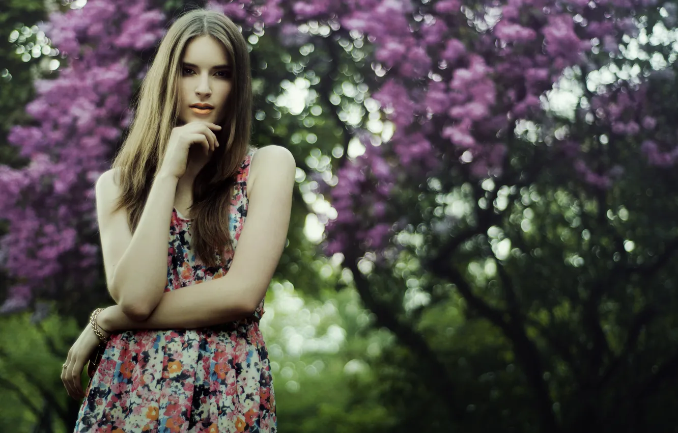 Фото обои взгляд, девушка, цветы, ветки, дерево, браслет, шатенка