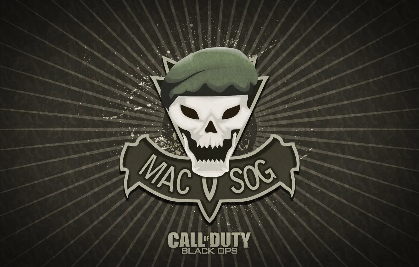 Фото обои skull, Call of Duty, game, military, Call of Duty Black Ops, beret, mac sov