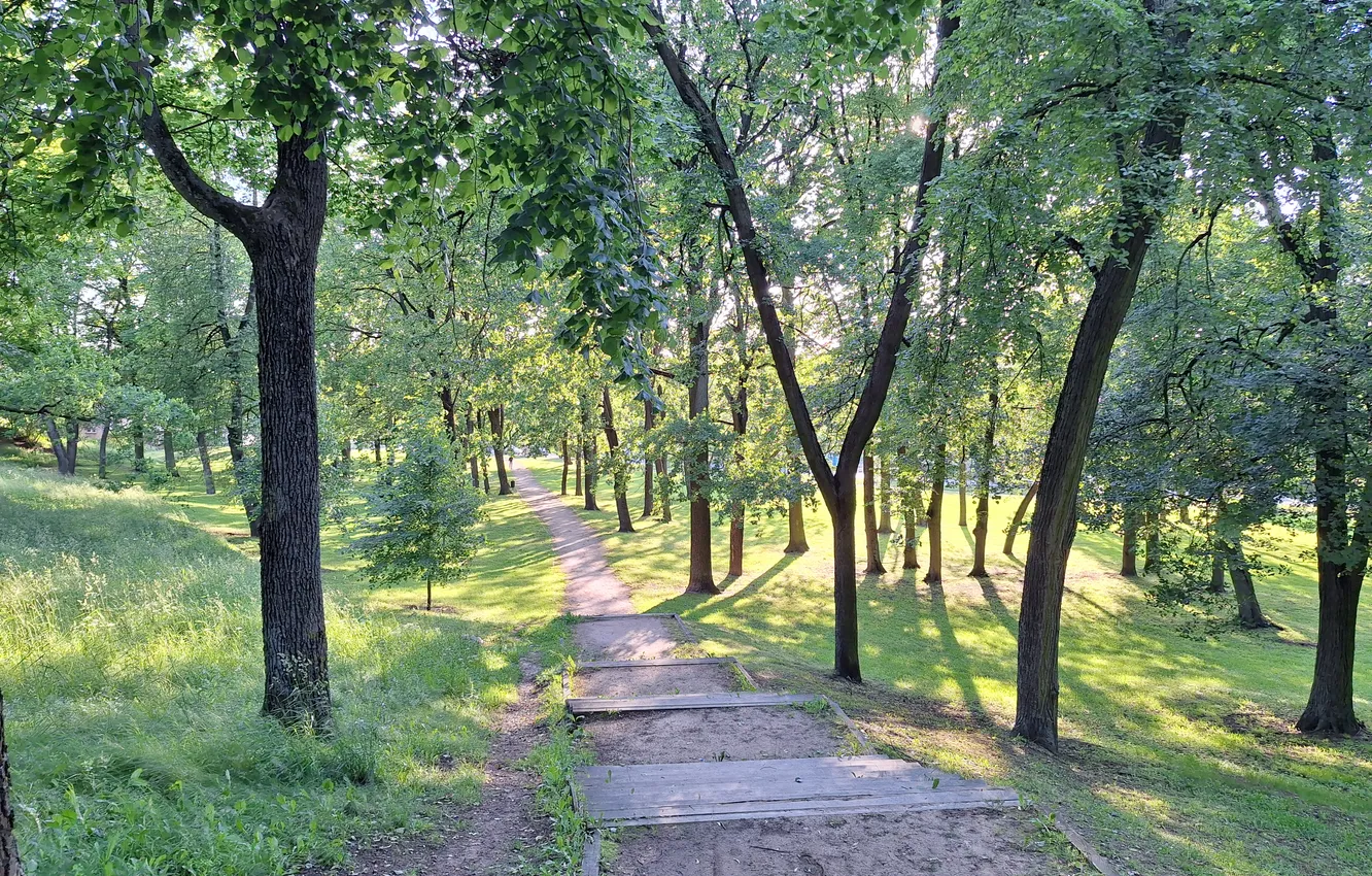 Фото обои Parks in Latvia, Parks in Riga, Dzegužkalns, Dzegužkalna parks Latvijas, Dzegužkalna parks