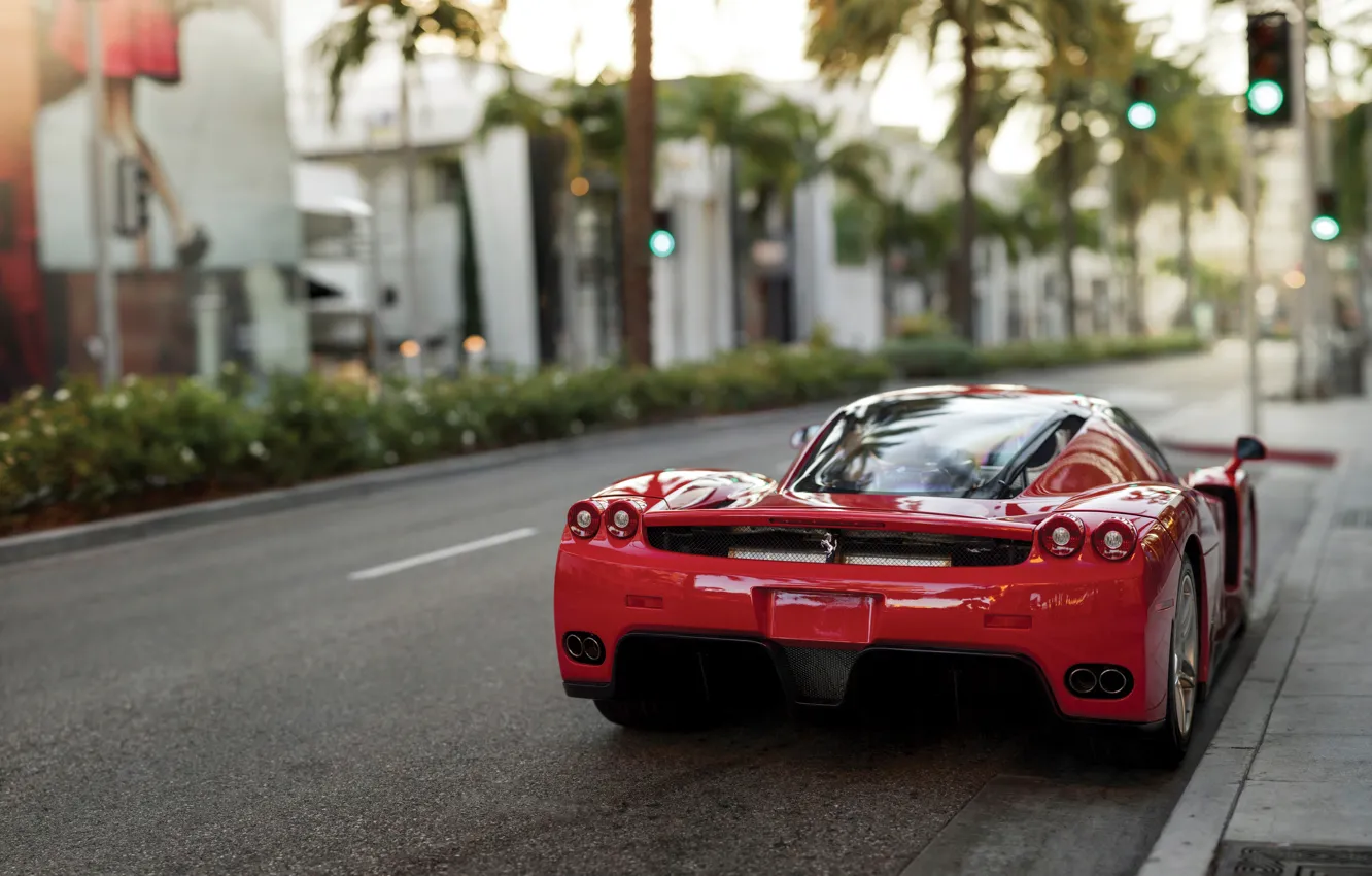 Фото обои Ferrari, феррари, Ferrari Enzo, Enzo, культовый, rear view