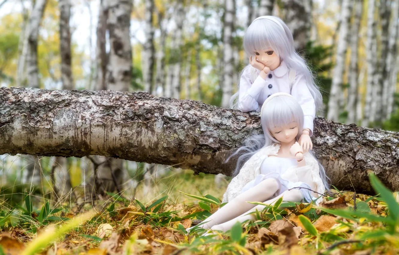 Фото обои лес, куклы, береза