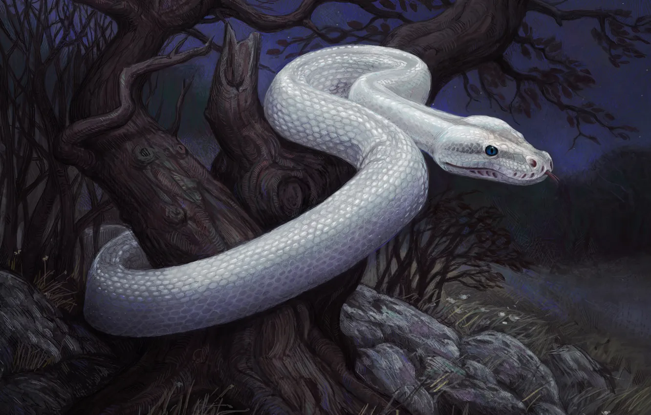 Фото обои камни, дерево, змея, арт, змей, ствол, белая, мрачно