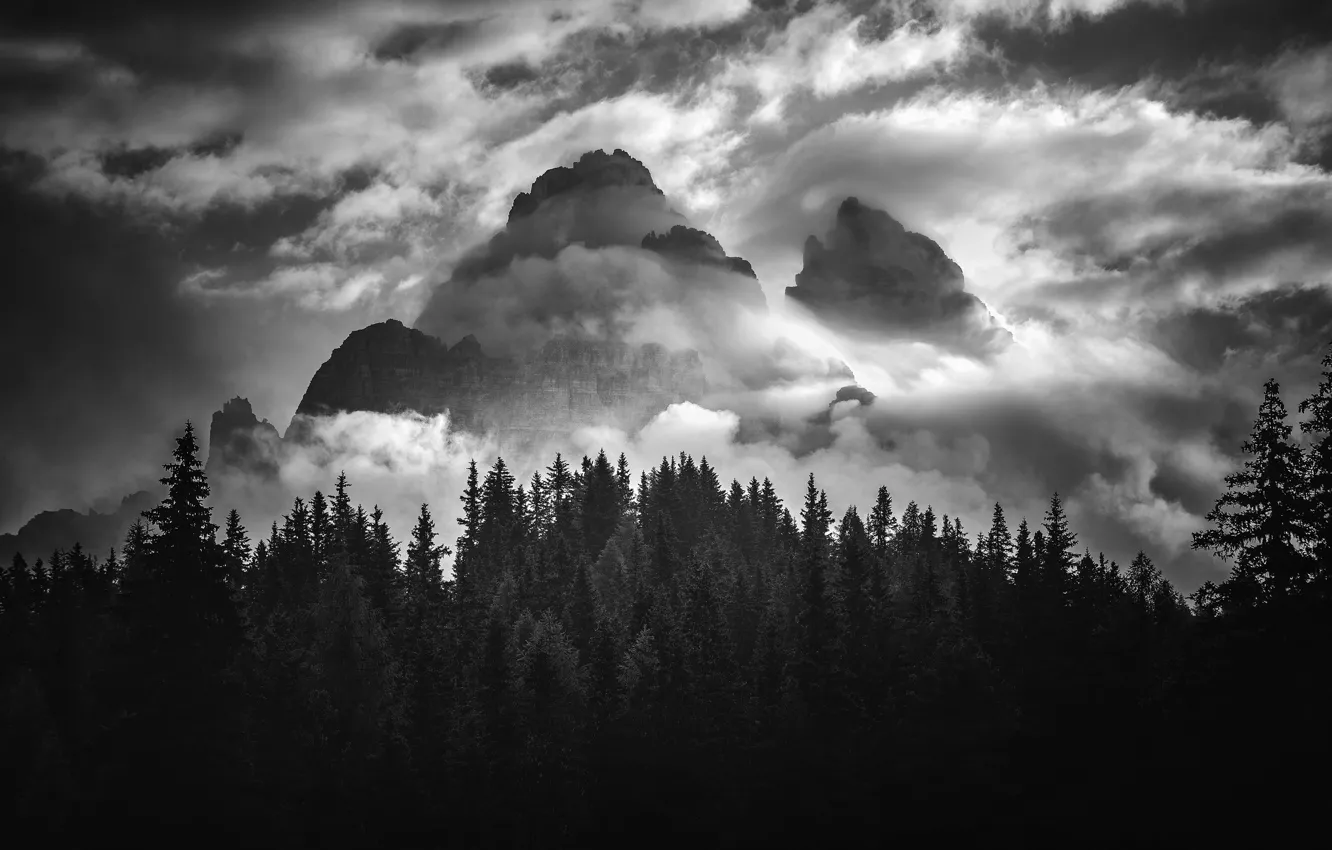 Фото обои небо, облака, деревья, горы, природа, скалы, черно-белое, монохром