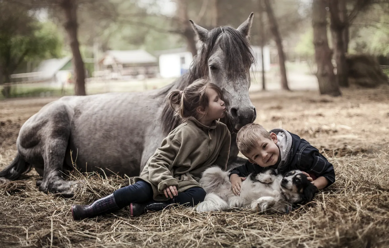 Фото обои конь, собака, мальчик, девочка