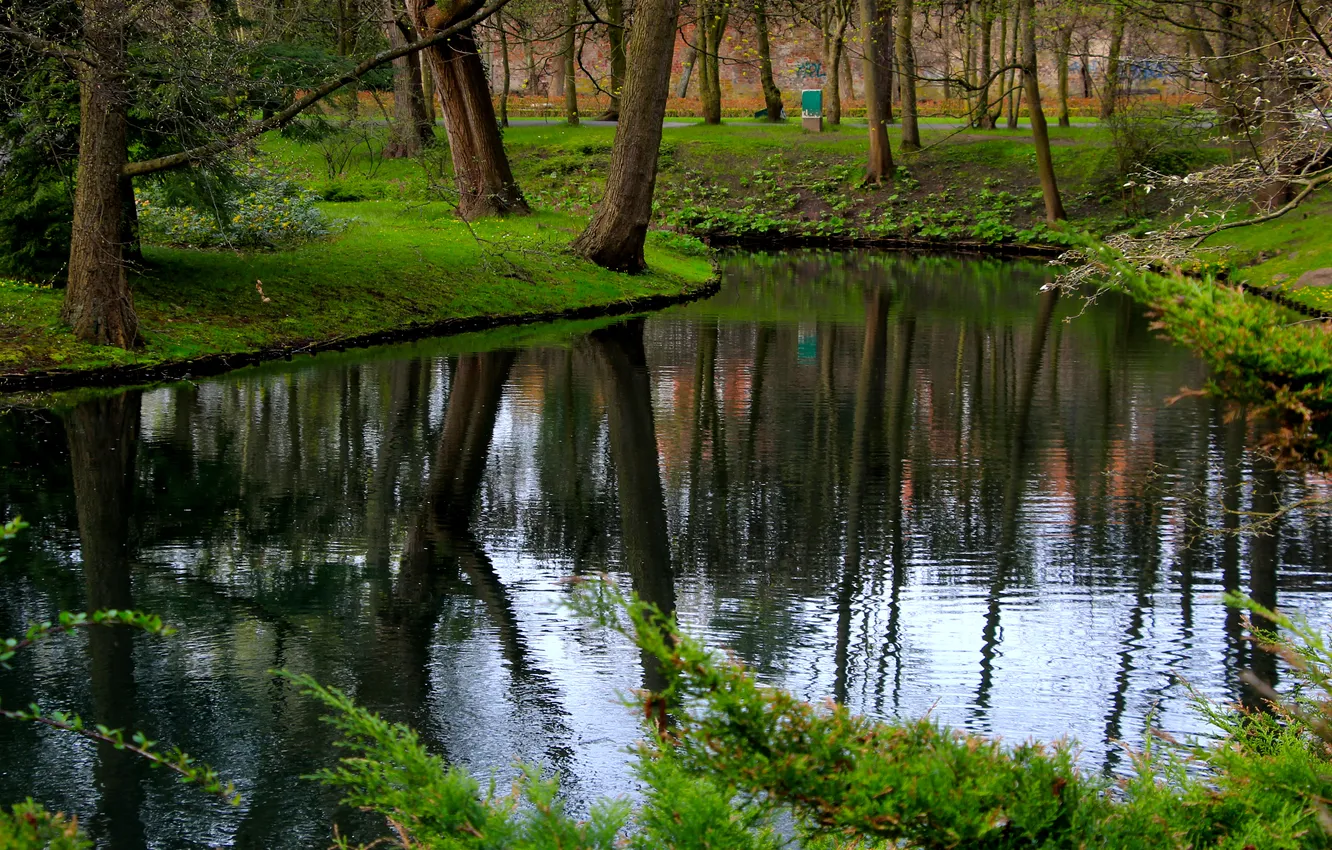 Фото обои water, park, lake, tree, pond
