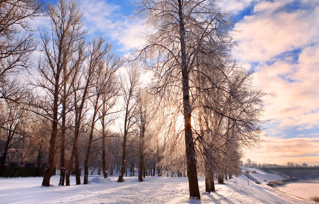 Фото обои холод, иней, дорога, небо, облака, снег, деревья, пейзаж
