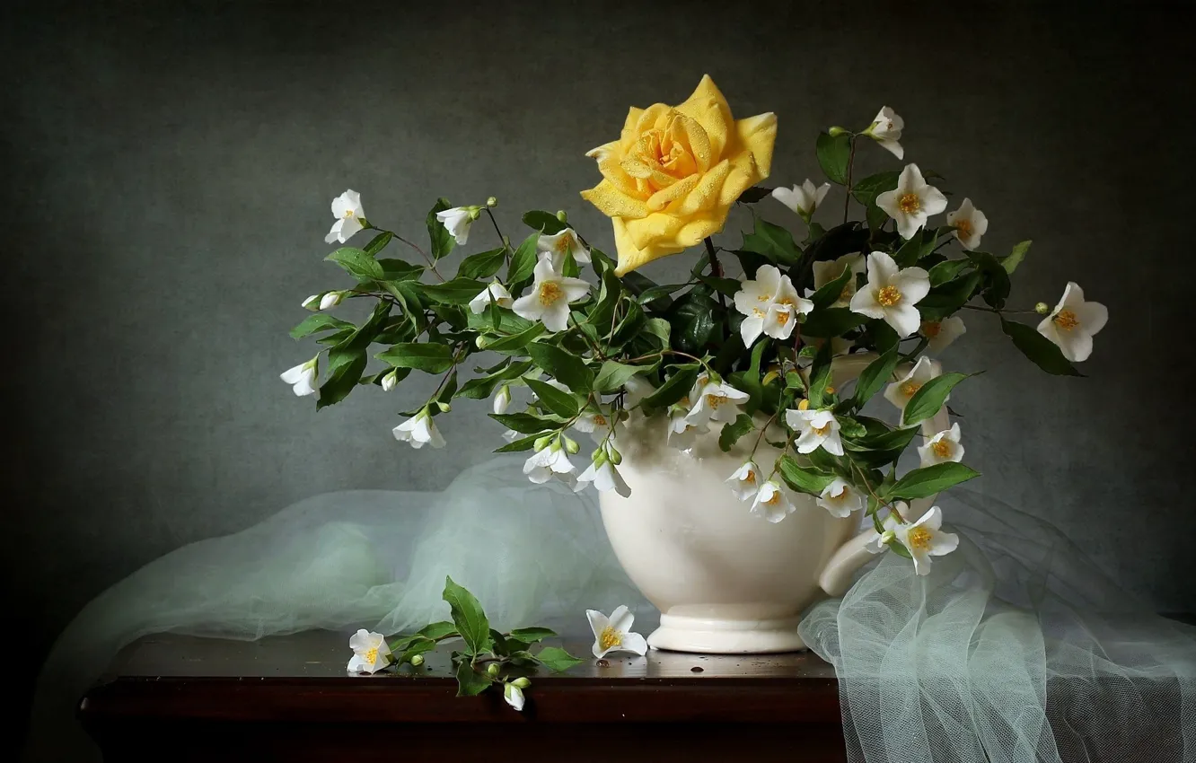 Фото обои фон, жасмин, тюль, жёлтая роза