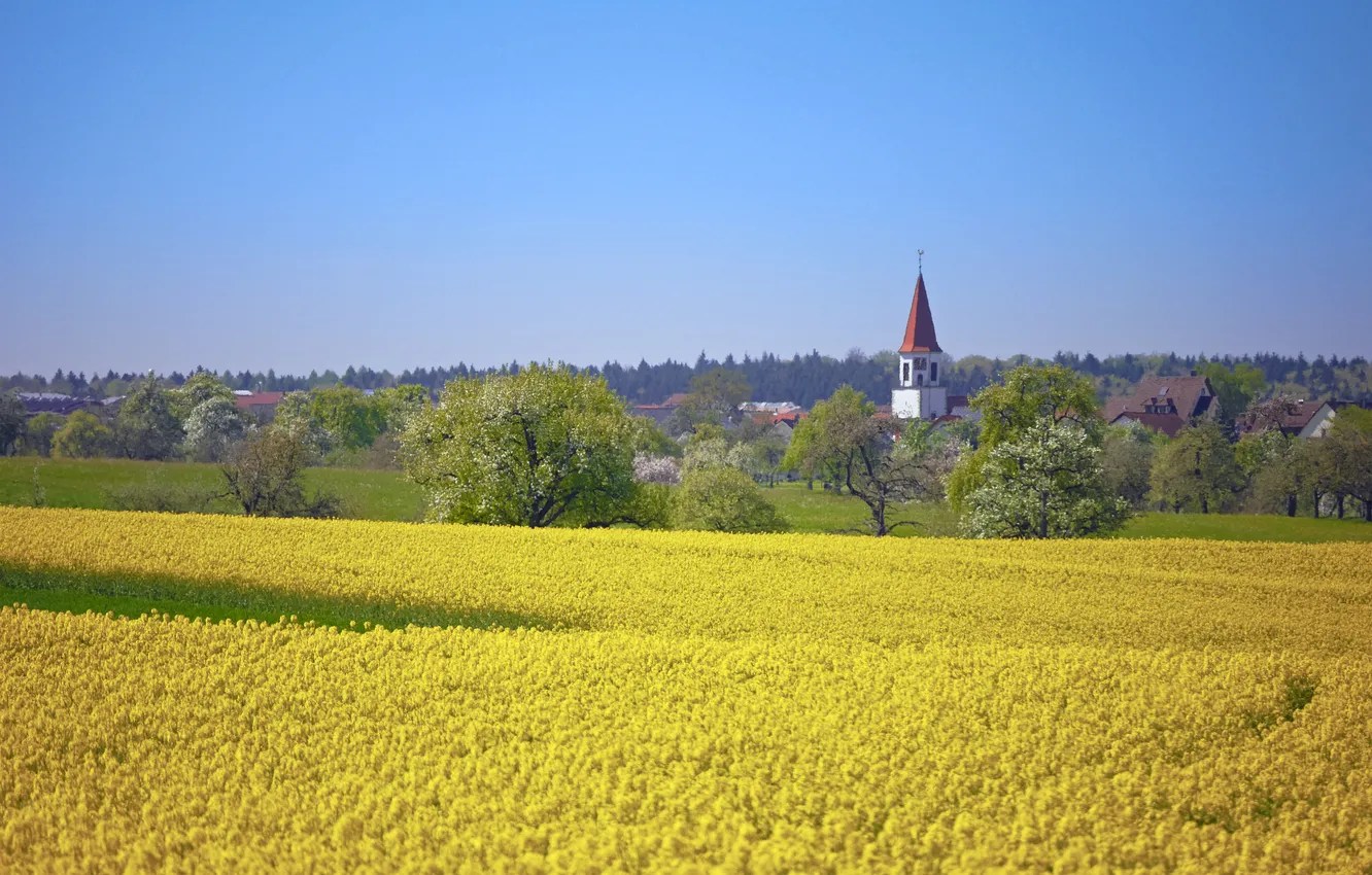 Фото обои поле, небо, деревья, деревня, горизонт, церковь