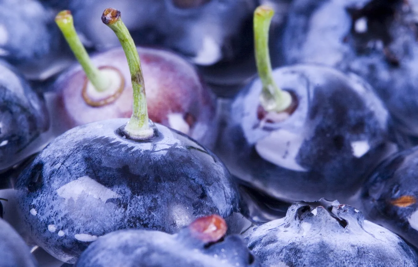 Фото обои вода, макро, ягоды, черника, water, macro, 1920x1080, blueberry