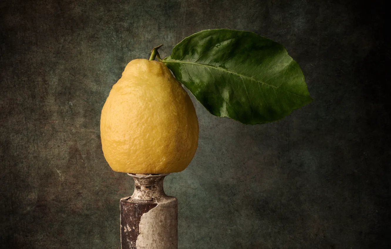 Фото обои лимон, еда, фрукт