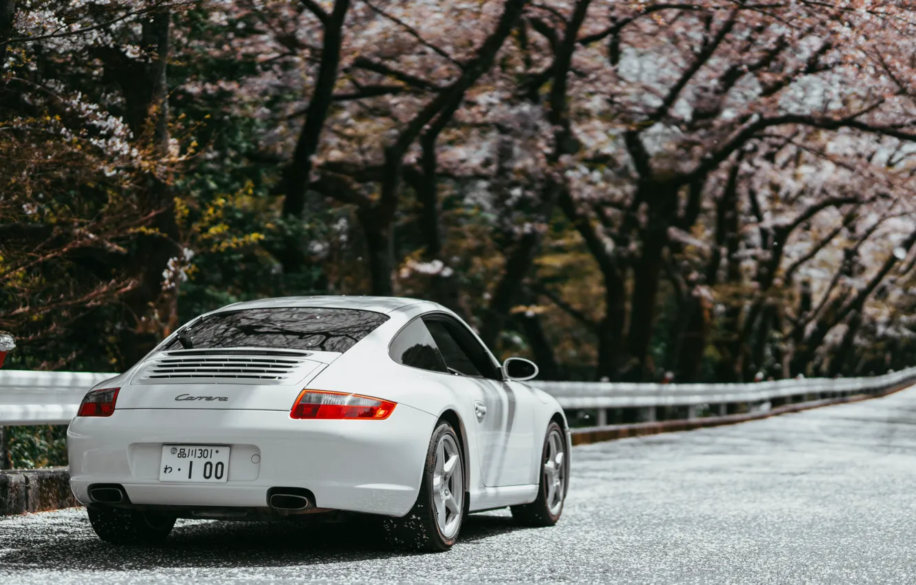 Фото обои 911, Porsche, Japan, Carrera