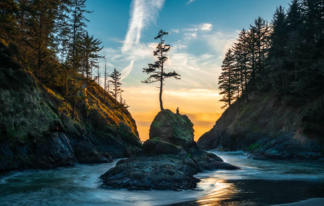 Фото обои деревья, пейзаж, горы, природа, река, скалы, Вашингтон, США