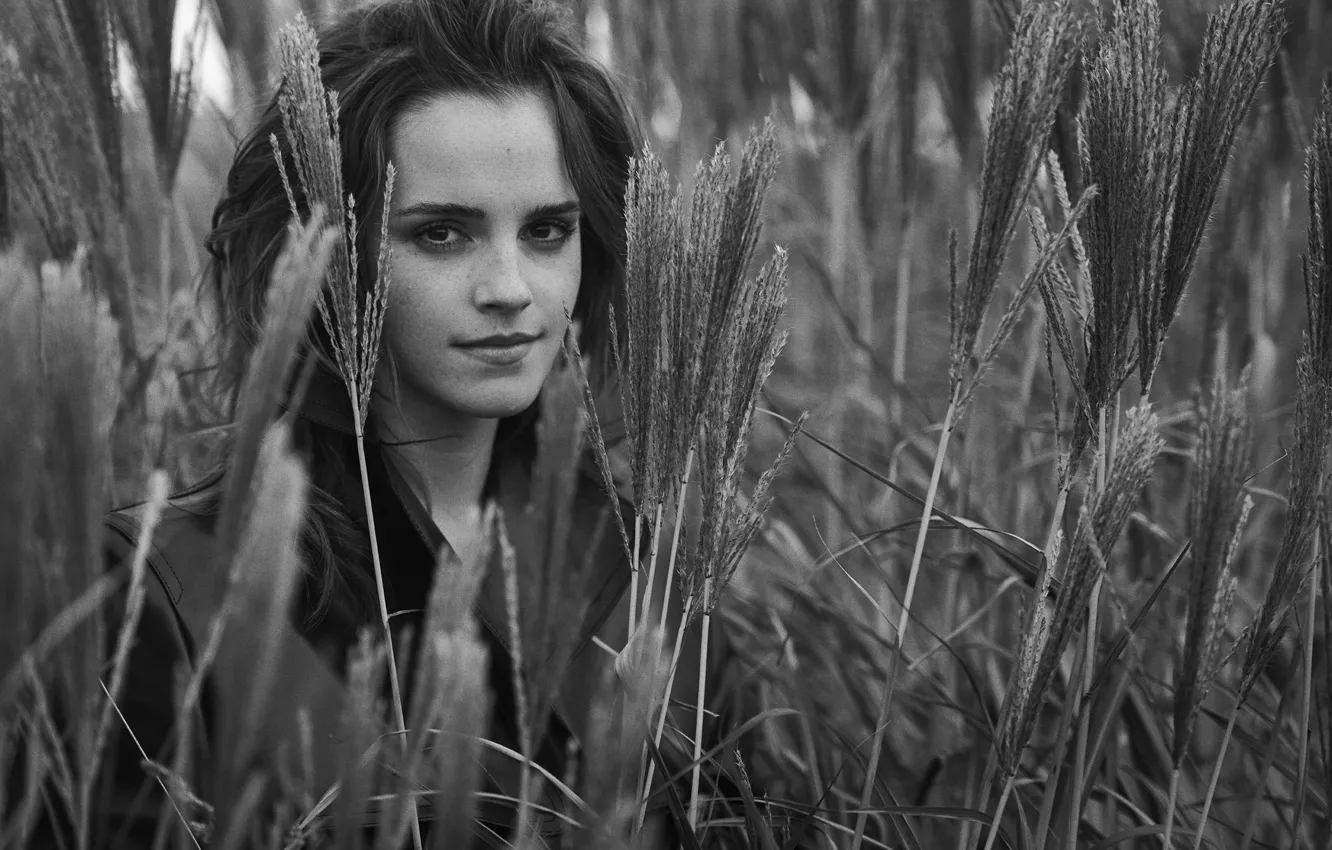 Фото обои поле, девушка, актриса, колосья, girl, Эмма Уотсон, Emma Watson, smile
