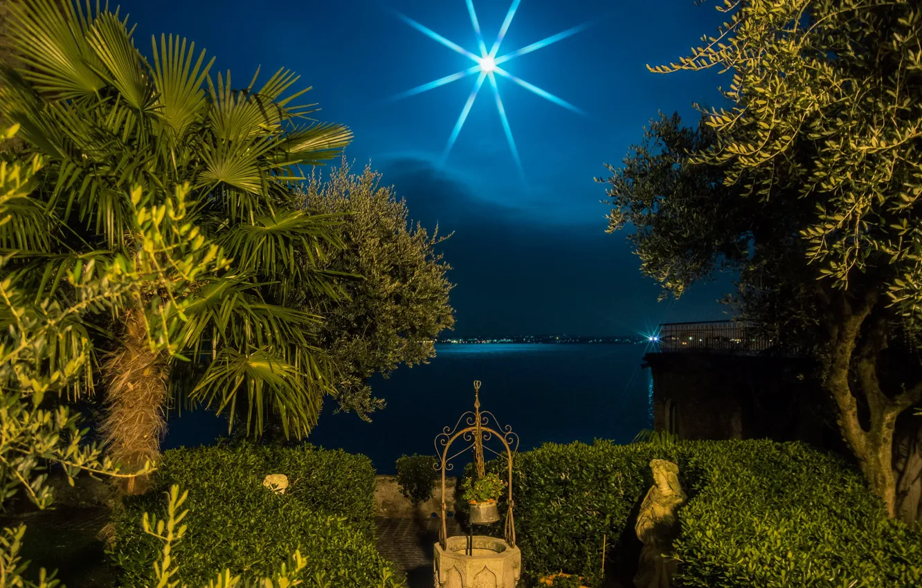 Фото обои ночь, озеро, пальмы, луна, побережье, Италия, кусты, Lombardy