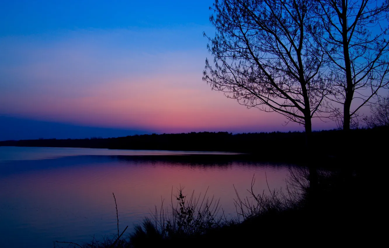 Фото обои лес, синий, река, розовый, Рассвет