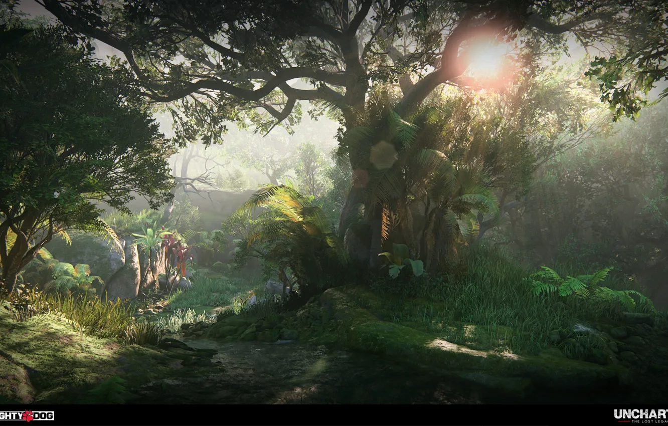 Фото обои лес, деревья, Uncharted The Lost Legacy, Intro to Western Ghats