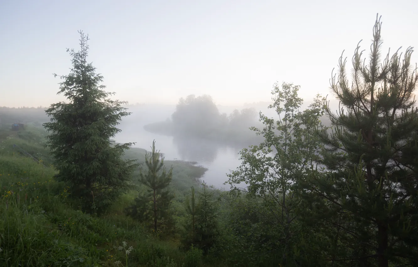 Фото обои лето, туман, река, рассвет, утро, туманное утро, туманный рассвет, природа россии