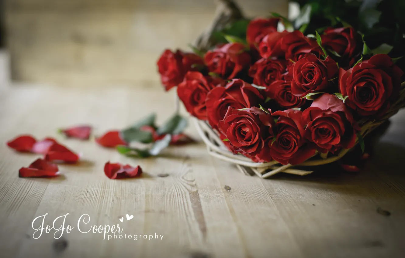 Фото обои цветы, доски, розы, лепестки, корзинка