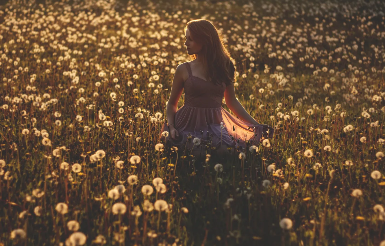 Фото обои поле, девушка, платье, тени, girl, dress, field, shadow